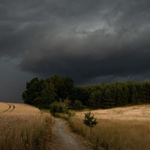 Meet your Posher, Gol